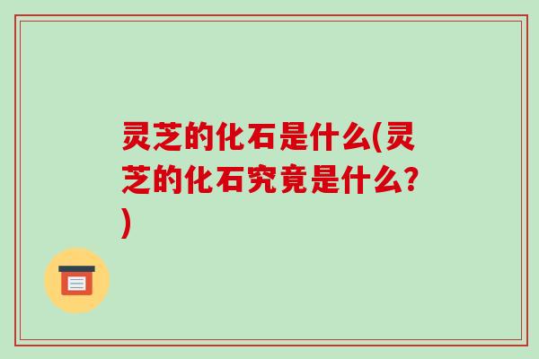 灵芝的化石是什么(灵芝的化石究竟是什么？)
