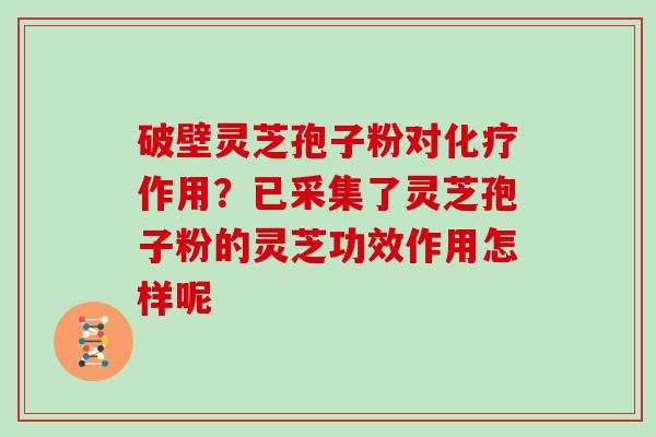 破壁灵芝孢子粉对作用？已采集了灵芝孢子粉的灵芝功效作用怎样呢