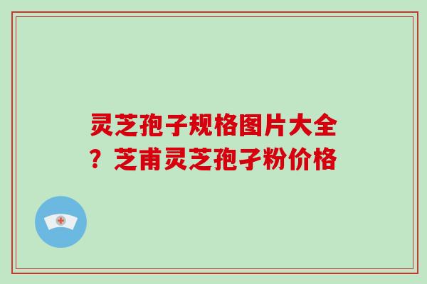 灵芝孢子规格图片大全?芝甫灵芝孢孑粉价格 灵芝孢子规格图片大全?芝甫灵芝孢孑粉价格