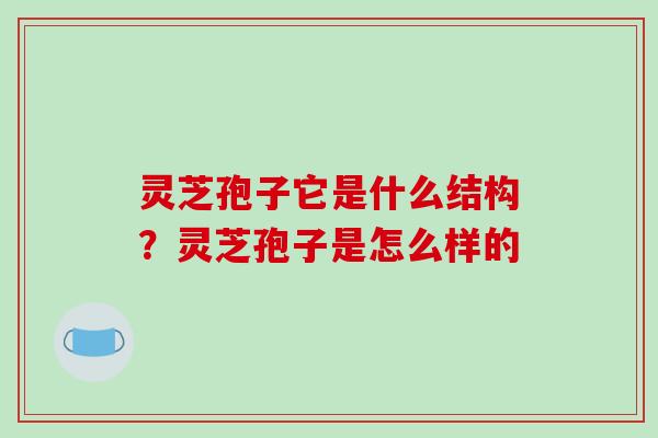 灵芝孢子它是什么结构?灵芝孢子是怎么样的 灵芝孢子它是什么结构?灵芝孢子是怎么样的