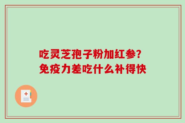 吃灵芝孢子粉加红参?免疫力差吃什么补得快 吃灵芝孢子粉加红参?免疫力差吃什么补得快