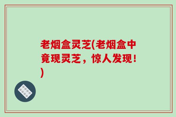 老烟盒灵芝(老烟盒中竟现灵芝，惊人发现！)