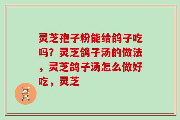灵芝孢子粉能给鸽子吃吗？灵芝鸽子汤的做法，灵芝鸽子汤怎么做好吃，灵芝