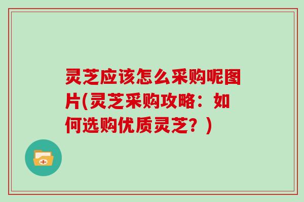 灵芝应该怎么采购呢图片(灵芝采购攻略：如何选购优质灵芝？)