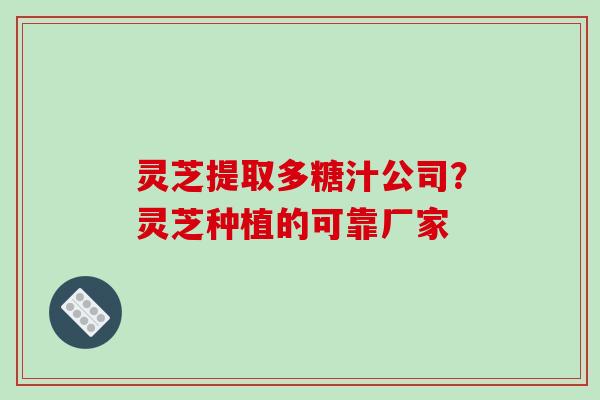 灵芝提取多糖汁公司?灵芝种植的可靠厂家 灵芝提取多糖汁公司?灵芝种植的可靠厂家
