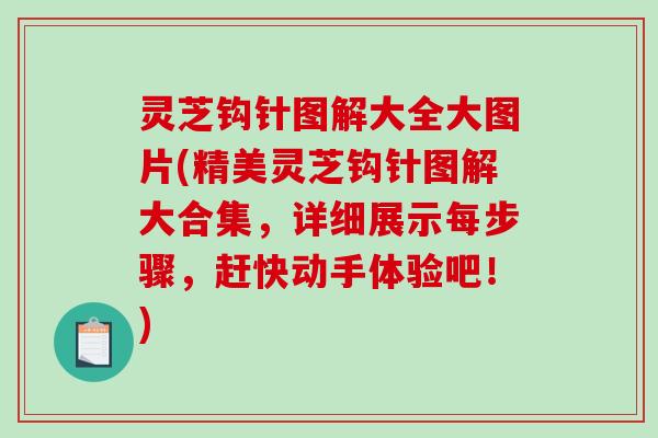 灵芝钩针图解大全大图片(精美灵芝钩针图解大合集，详细展示每步骤，赶快动手体验吧！)