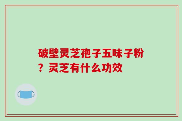破壁灵芝孢子五味子粉？灵芝有什么功效