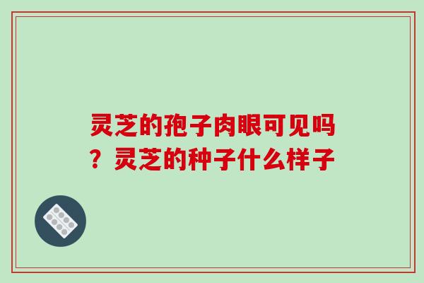 灵芝的孢子肉眼可见吗?灵芝的种子什么样子 灵芝的孢子肉眼可见吗?灵芝的种子什么样子