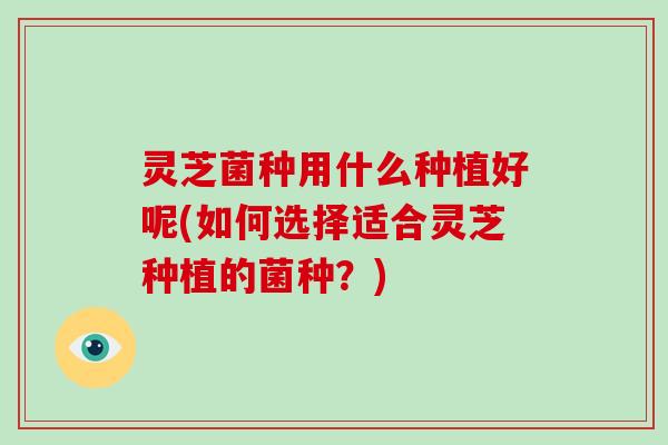 灵芝菌种用什么种植好呢(如何选择适合灵芝种植的菌种？)