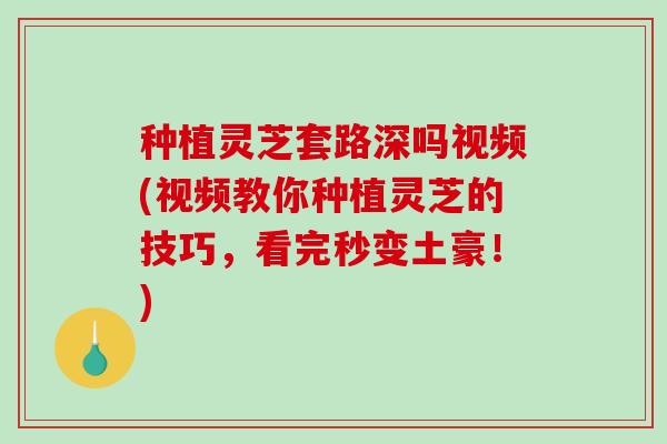 种植灵芝套路深吗视频(视频教你种植灵芝的技巧,看完秒变土豪!) 种植灵芝套路深吗视频(视频教你种植灵芝的技巧,看完秒变土豪!)