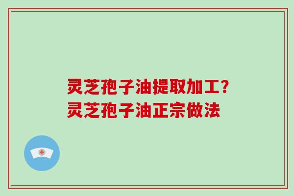 灵芝孢子油提取加工？灵芝孢子油正宗做法
