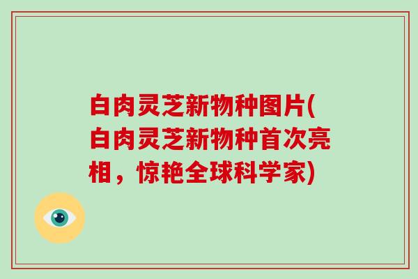 白肉灵芝新物种图片(白肉灵芝新物种首次亮相，惊艳全球科学家)