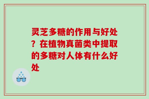 灵芝多糖的作用与好处？在植物真菌类中提取的多糖对人体有什么好处