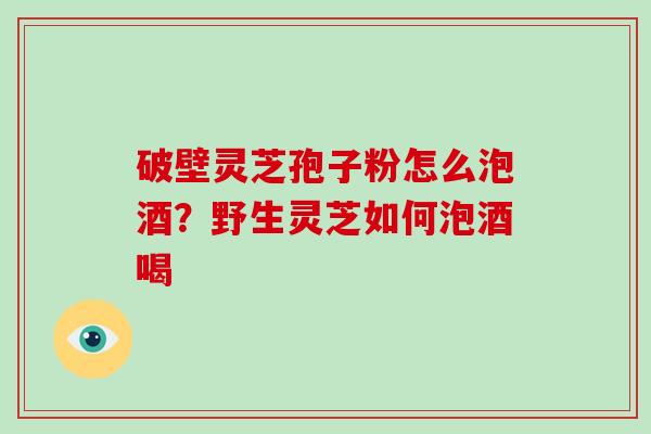 破壁灵芝孢子粉怎么泡酒？野生灵芝如何泡酒喝