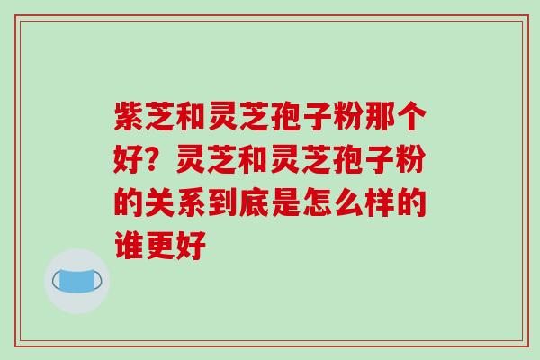 紫芝和灵芝孢子粉那个好？灵芝和灵芝孢子粉的关系到底是怎么样的谁更好