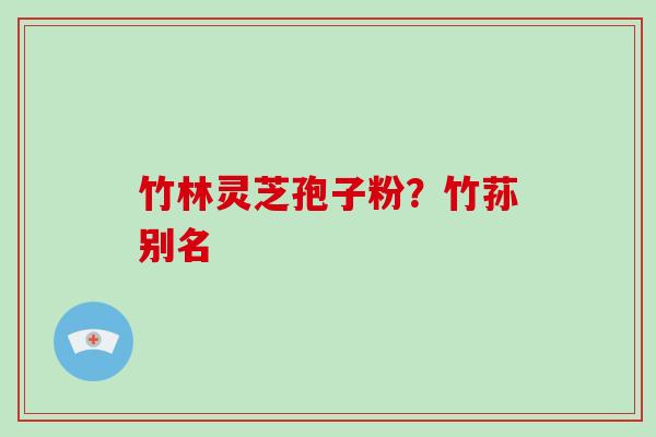 竹林灵芝孢子粉？竹荪别名