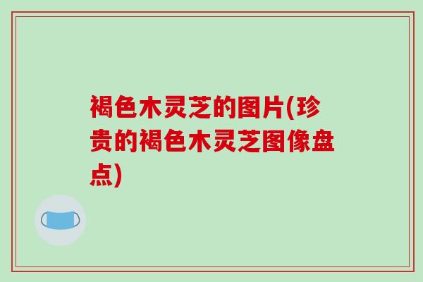 褐色木灵芝的图片(珍贵的褐色木灵芝图像盘点) 褐色木灵芝的图片(珍贵的褐色木灵芝图像盘点)