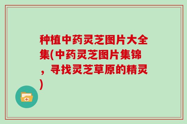 种植灵芝图片大全集(灵芝图片集锦，寻找灵芝草原的精灵)