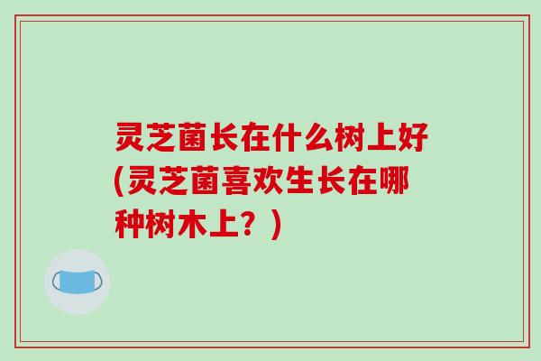 灵芝菌长在什么树上好(灵芝菌喜欢生长在哪种树木上？)