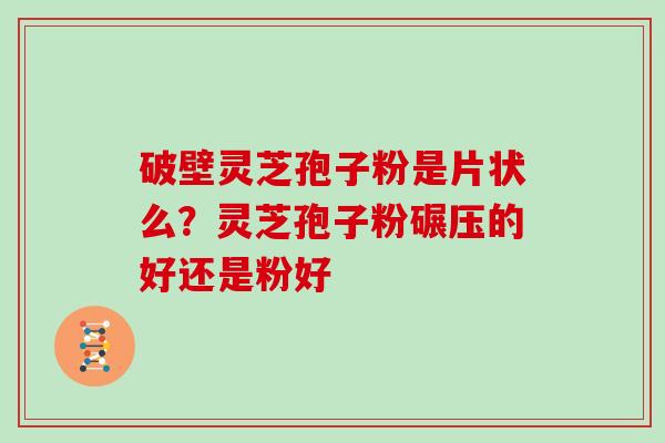 破壁灵芝孢子粉是片状么？灵芝孢子粉碾压的好还是粉好