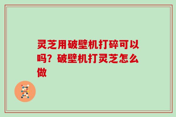 灵芝用破壁机打碎可以吗？破壁机打灵芝怎么做