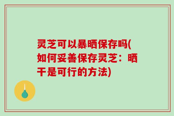 灵芝可以暴晒保存吗(如何妥善保存灵芝：晒干是可行的方法)