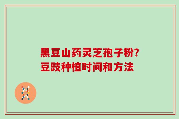 黑豆山药灵芝孢子粉？豆豉种植时间和方法