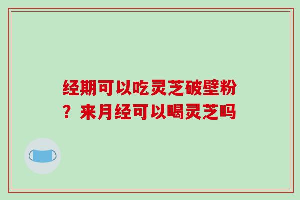 经期可以吃灵芝破壁粉？来可以喝灵芝吗