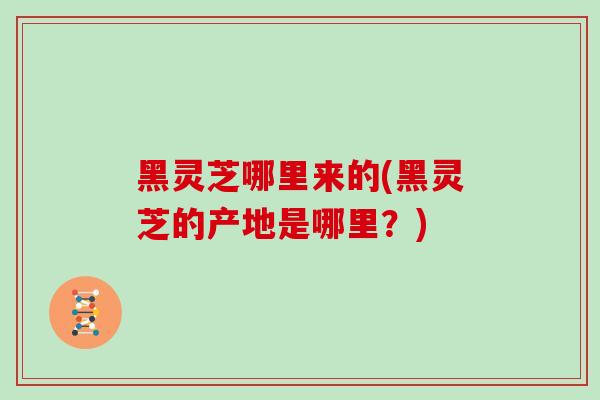 黑灵芝哪里来的(黑灵芝的产地是哪里？)