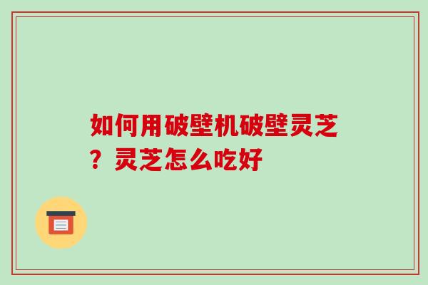 如何用破壁机破壁灵芝？灵芝怎么吃好