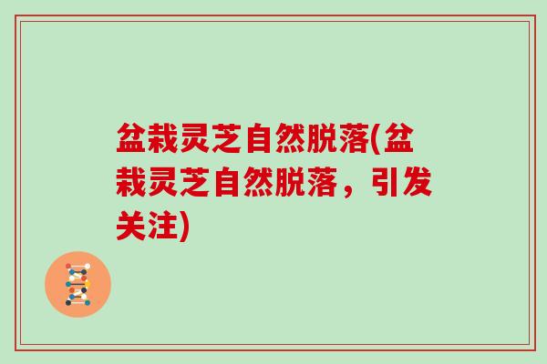 盆栽灵芝自然脱落(盆栽灵芝自然脱落，引发关注)