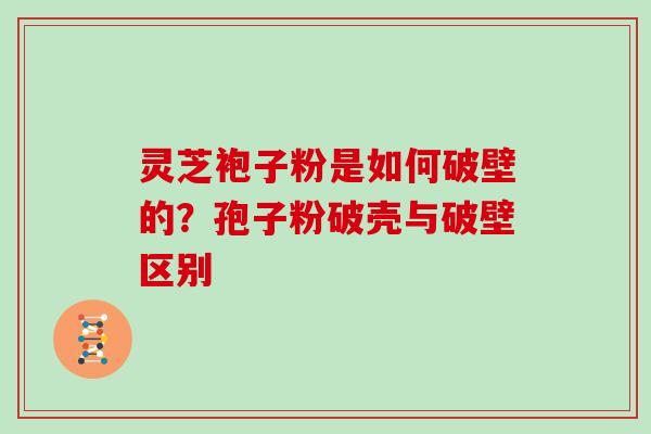 灵芝袍子粉是如何破壁的？孢子粉破壳与破壁区别