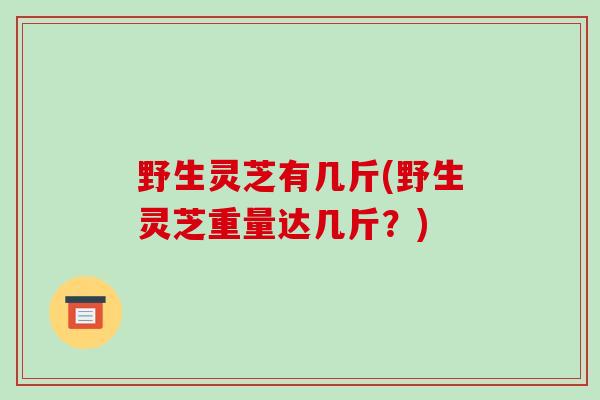 野生灵芝有几斤(野生灵芝重量达几斤？)