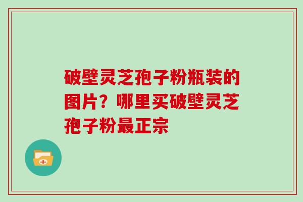 破壁灵芝孢子粉瓶装的图片？哪里买破壁灵芝孢子粉正宗