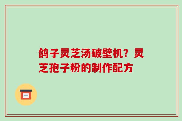 鸽子灵芝汤破壁机？灵芝孢子粉的制作配方