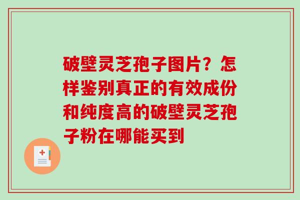 破壁灵芝孢子图片?怎样鉴别真正的有效成份和纯度高的破壁灵芝孢子粉在哪能买到 破壁灵芝孢子图片?怎样鉴别真正的有效成份和纯度高的破壁灵芝孢子粉在哪能买到