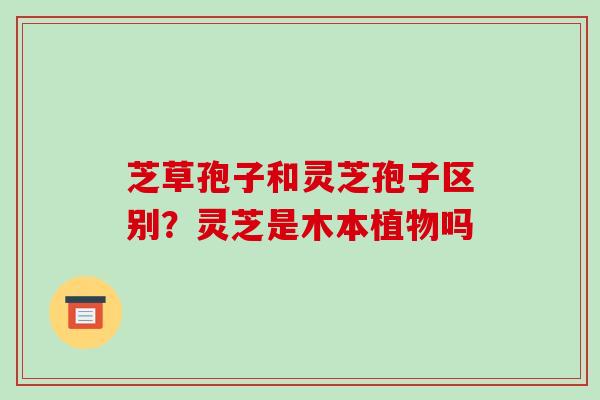 芝草孢子和灵芝孢子区别？灵芝是木本植物吗