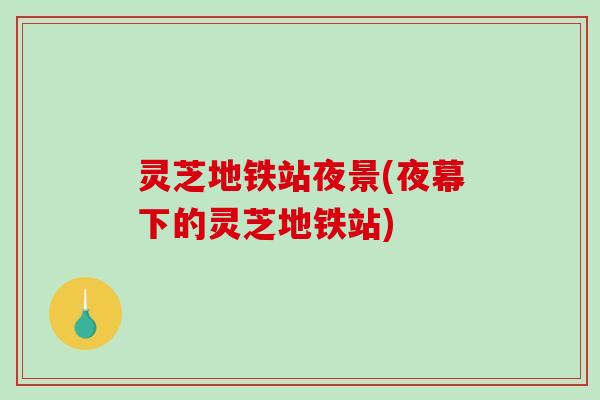 灵芝地铁站夜景(夜幕下的灵芝地铁站)
