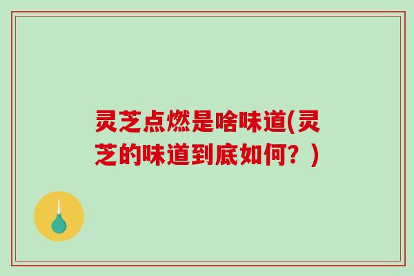 灵芝点燃是啥味道(灵芝的味道到底如何？)