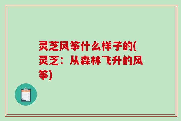灵芝风筝什么样子的(灵芝:从森林飞升的风筝) 灵芝风筝什么样子的(灵芝:从森林飞升的风筝)