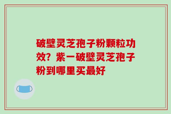 破壁灵芝孢子粉颗粒功效？紫一破壁灵芝孢子粉到哪里买好