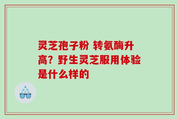 灵芝孢子粉 转氨酶升高？野生灵芝服用体验是什么样的