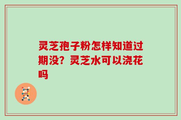 灵芝孢子粉怎样知道过期没？灵芝水可以浇花吗