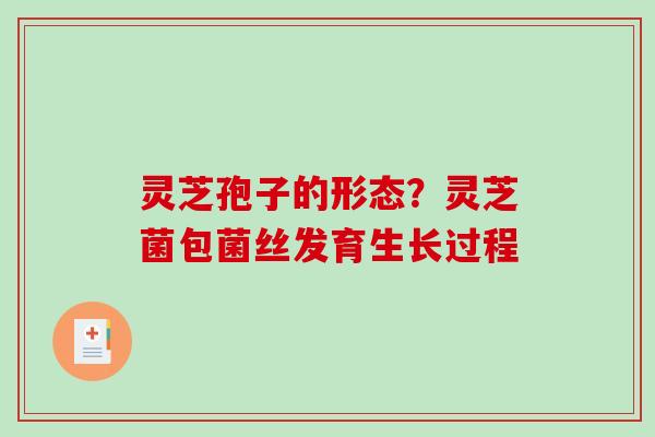 灵芝孢子的形态?灵芝菌包菌丝发育生长过程 灵芝孢子的形态?灵芝菌包菌丝发育生长过程