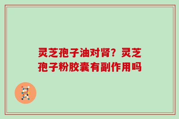 灵芝孢子油对？灵芝孢子粉胶囊有副作用吗