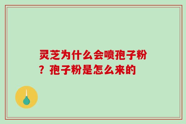 灵芝为什么会喷孢子粉?孢子粉是怎么来的 灵芝为什么会喷孢子粉?孢子粉是怎么来的