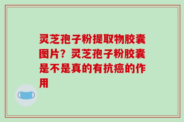 灵芝孢子粉提取物胶囊图片？灵芝孢子粉胶囊是不是真的有抗的作用
