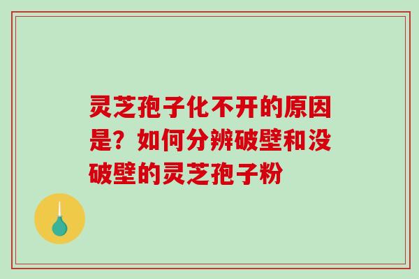 灵芝孢子化不开的原因是?如何分辨破壁和没破壁的灵芝孢子粉 灵芝孢子化不开的原因是?如何分辨破壁和没破壁的灵芝孢子粉