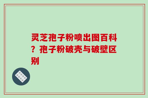 灵芝孢子粉喷出图百科？孢子粉破壳与破壁区别