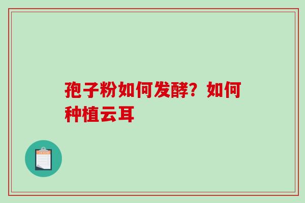 孢子粉如何发酵?如何种植云耳 孢子粉如何发酵?如何种植云耳